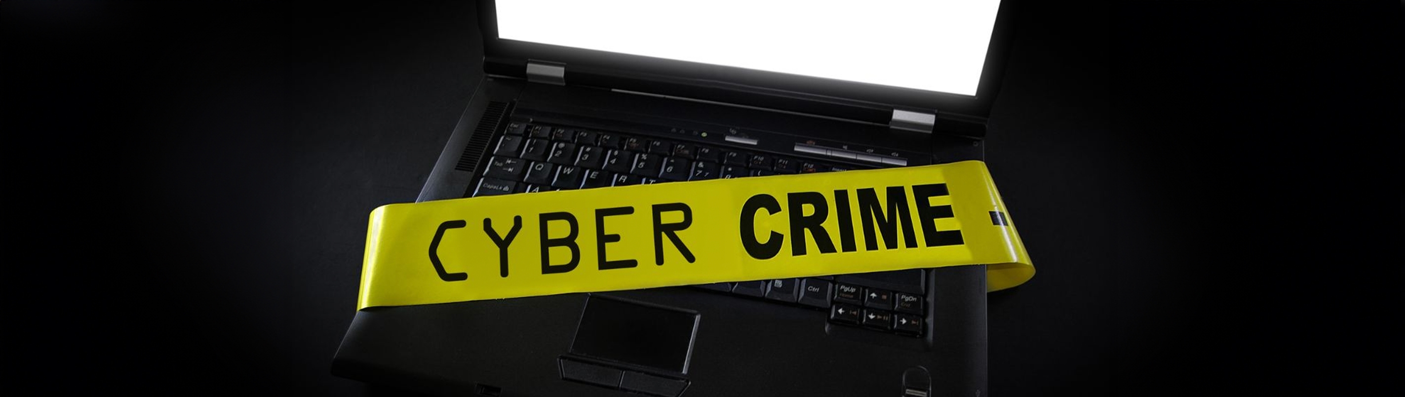 Tren Kejahatan Siber 2024, Ransomware Masih Jadi Ancaman