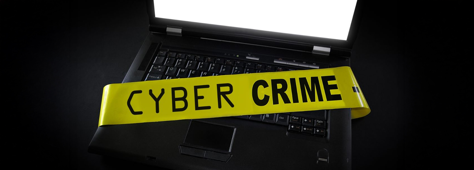 cyber crime